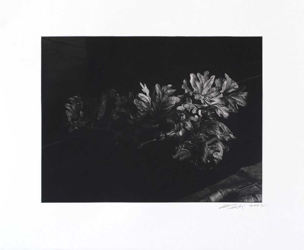 Ai Weiwei, ‘Oak Leaves’, 2022, Print, Mezzotint etching, Maybe Art, Numbered