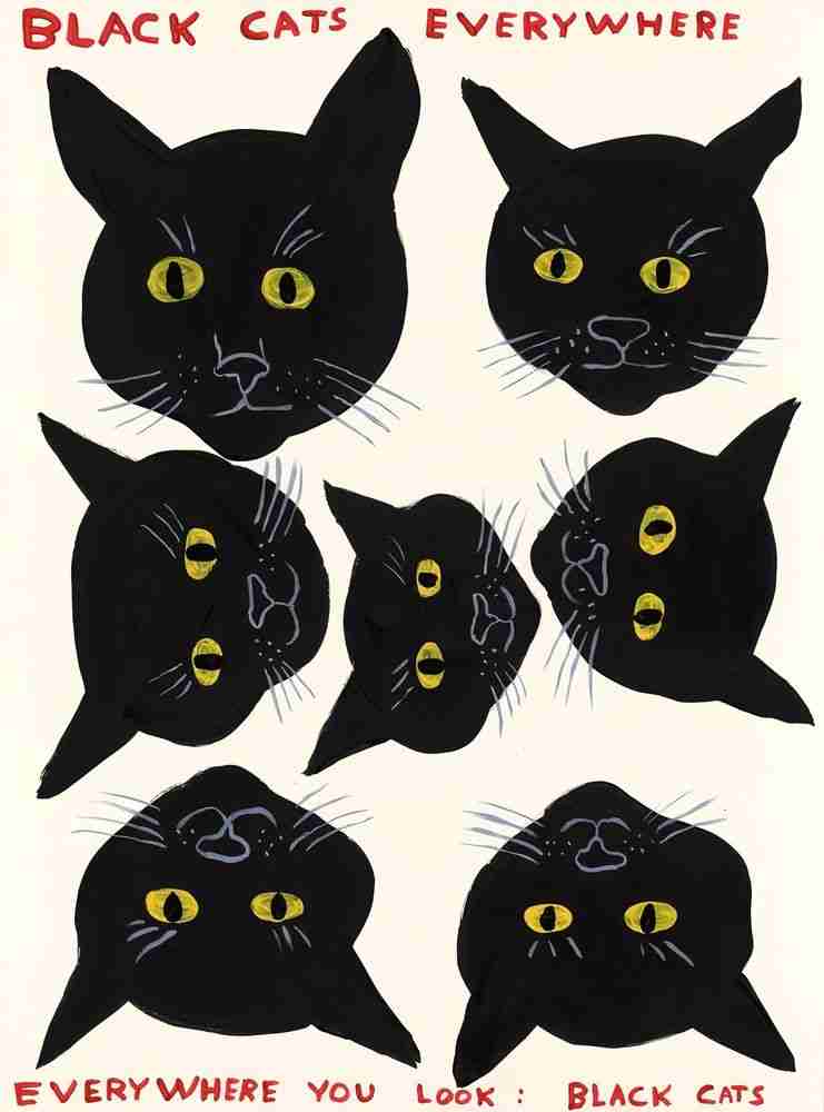 David Shrigley, ‘Black Cats Everywhere’, 2021, Print, 12 Colour Screenprint on Somerset Satin Tub Sized 410gsm Paper, Jealous Gallery, Numbered, Dated