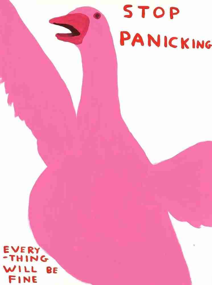 David Shrigley, ‘Stop Panicking’, 2021, Print, 12 Colour Screenprint with a Varnish Overlay on Somerset Satin Tub Sized 410gsm Paper, Jealous Gallery, Numbered, Dated