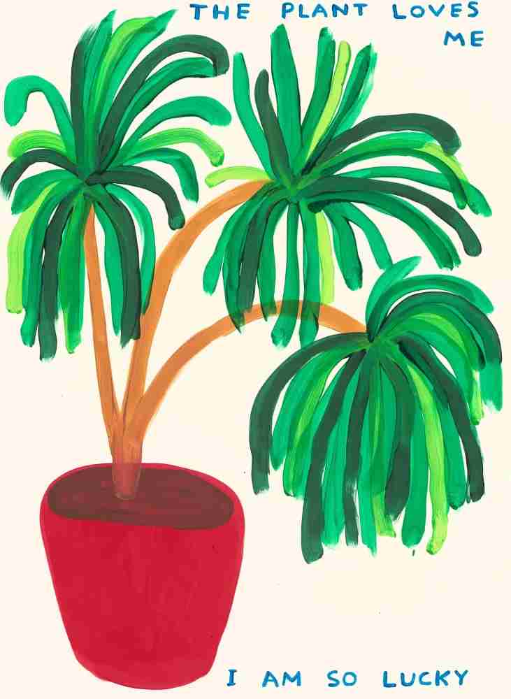 David Shrigley, ‘The Plant Loves Me’, 2023, Print, 26 Colour Screenprint with Varnish Overlay on Somerset Tub Sized 410gsm Paper, Jealous Gallery, Numbered, Dated