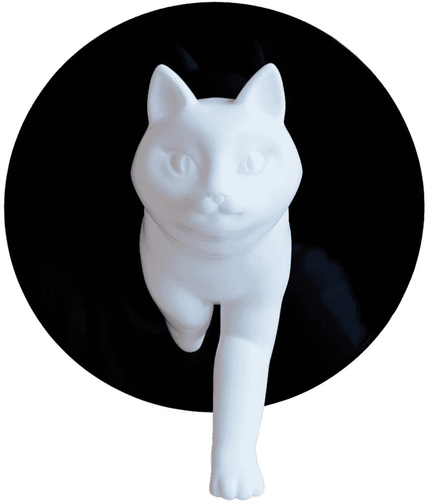 Gongkan, ‘Teleport Cat’, 2021, Sculpture, 3D Printed Resin, Cast Resin, Unique Board, Numbered, Framed
