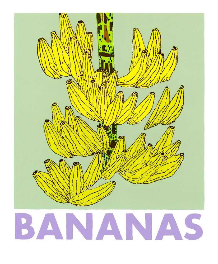 Jonas Wood, ‘Bananas’, 25-05-2021, Print, 9 colour screenprint on rising museum board, Printed Matter, Numbered