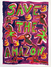 https://cdn.fairart.io/thumbnail_Katherine_Bernhardt_Save_The_Amazon_2_bddaaba92b.png - 1
